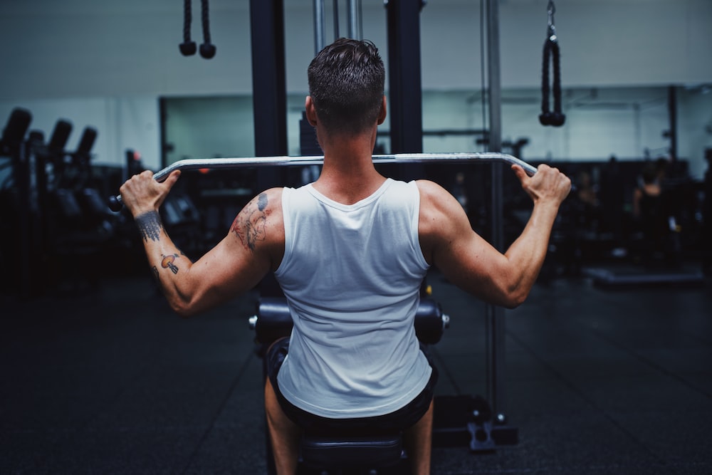 Effective Back and Biceps Workouts